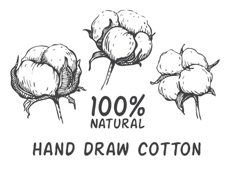 mariage dessin noir et blanc Vector set de tirage de la main usine encre de